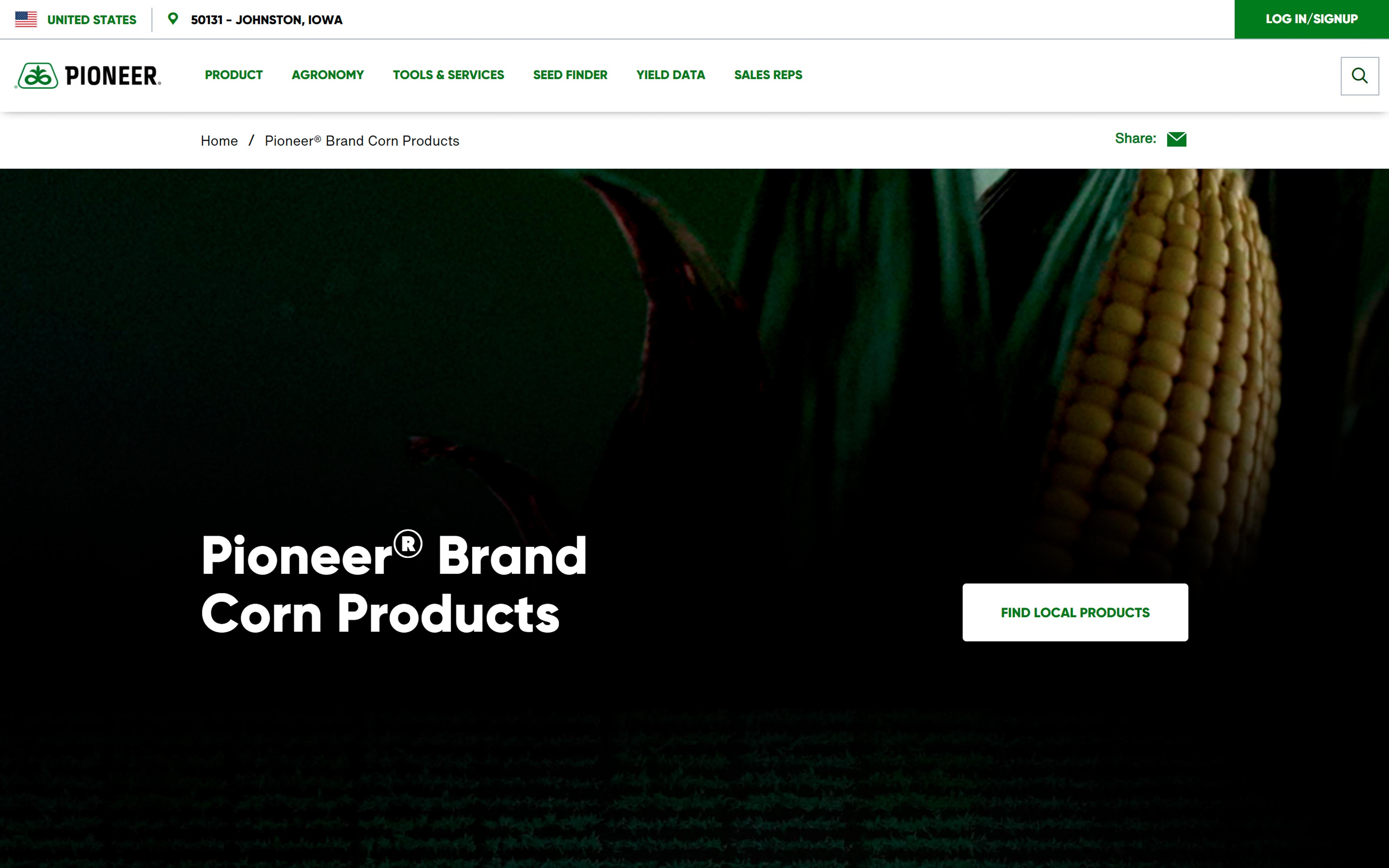 Portfolio Image