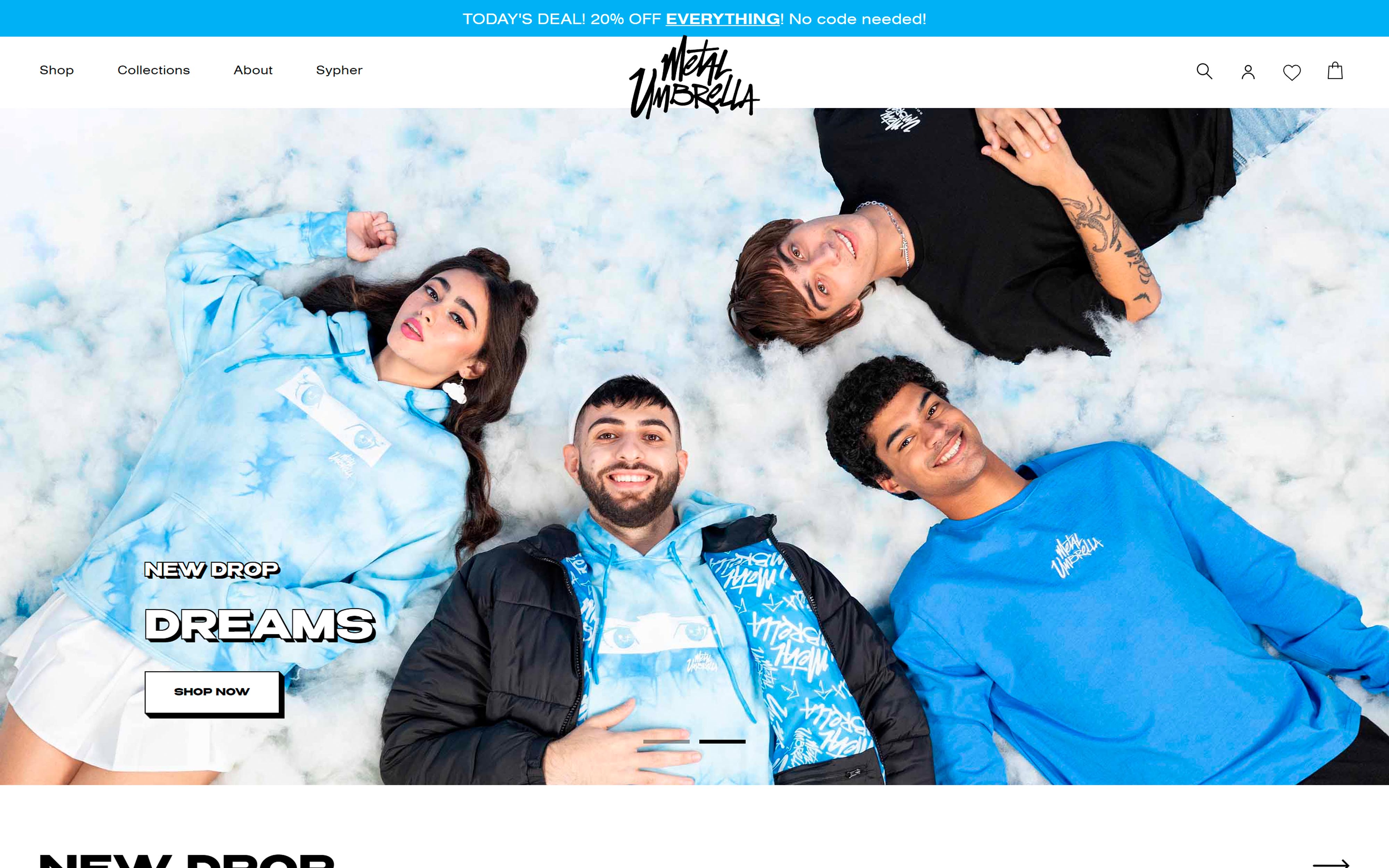 Portfolio Image